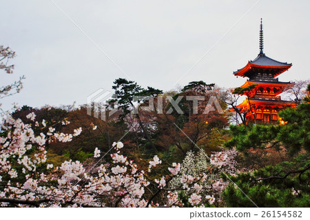 橫濱市三溪恩加恩·老燈明廟三重塔（重要文化財產）櫻花神奈川縣 26154582
