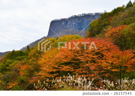 Nagano · Gunma prefecture boundary, Mt. Ararbo of autumn leaves 26157545