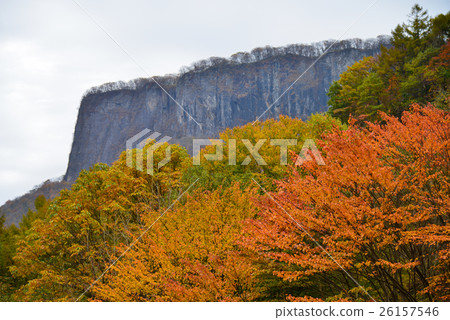 Nagano · Gunma prefecture boundary, Mt. Ararbo of autumn leaves 26157546