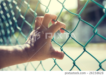 Close up of hand on chain-link fence Close up of hand on chain-link fence 26158628