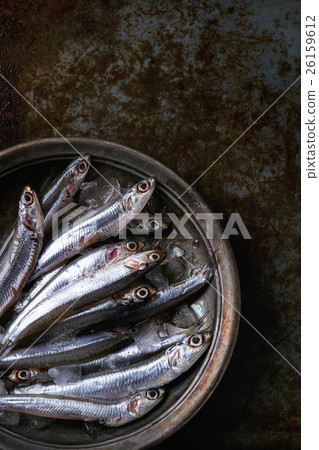 Raw fresh anchovies fishes 26159612