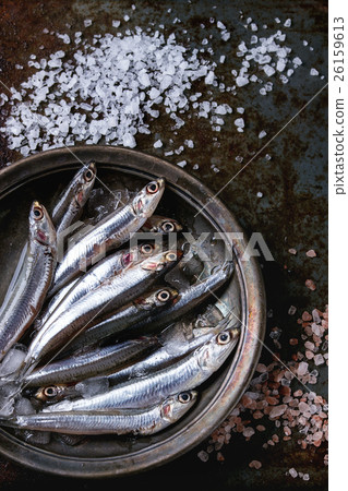 Raw fresh anchovies fishes 26159613
