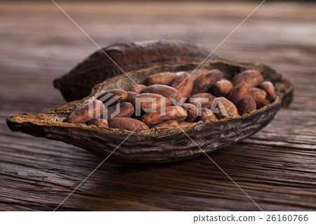 Cocoa pod on wooden background Cocoa pod on wooden background 26160766