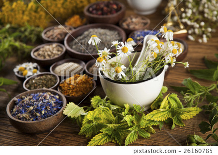 Alternative medicine, dried herbs and mortar  26160785