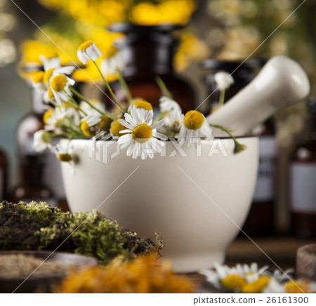Assorted natural medical herbs and mortar 26161300