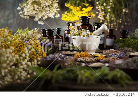 Alternative medicine, dried herbs and mortar  26163214