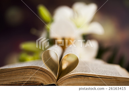 Bible, Eucharist, sacrament of communion Bible, Eucharist, sacrament of communion 26163415