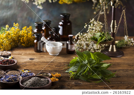 Fresh medicinal, healing herbs on wooden 26163922