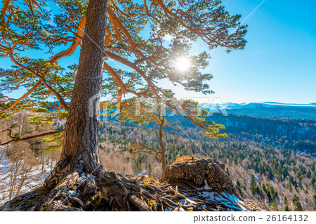 Fantastic winter landscape Fantastic winter landscape 26164132