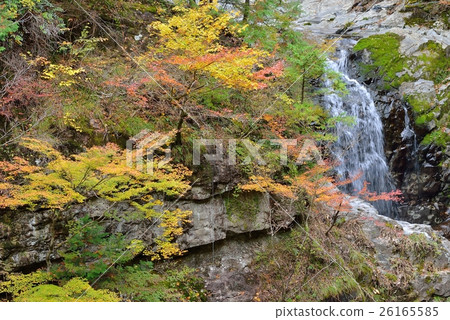 The taste of autumn leaves and waterfalls The taste of autumn leaves and waterfalls 26165585