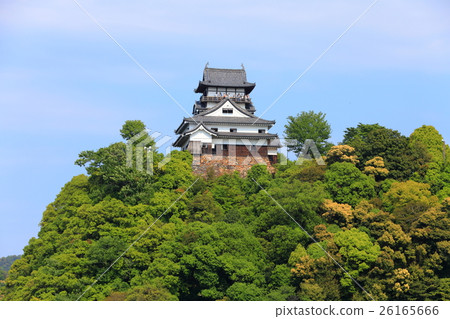 新鮮的綠色狗Yamashiro城堡塔 26165666