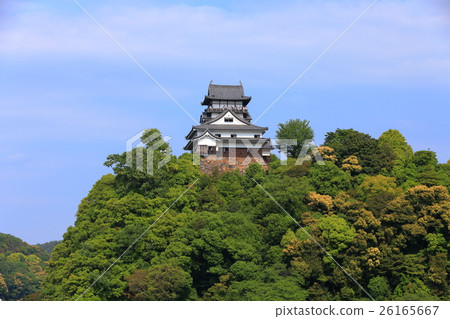 新鮮的綠色狗Yamashiro城堡塔 26165667