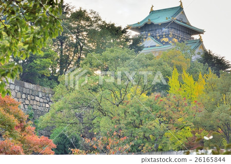 Osaka Castle Tempu and autumn leaves 26165844