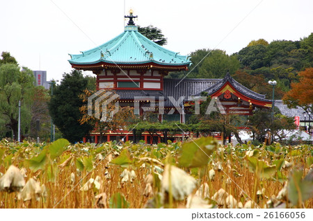 Ueno Shinobazu Bento和Persimmon Ueno Shinobazu Bento和Persimmon 26166056