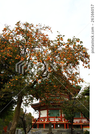 Ueno Shinobazu Bento和Persimmon Ueno Shinobazu Bento和Persimmon 26166057