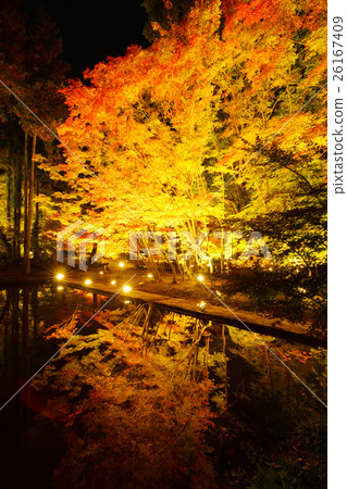 秋葉在Sogaki公園被點燃了 秋葉在Sogaki公園被點燃了 26167409