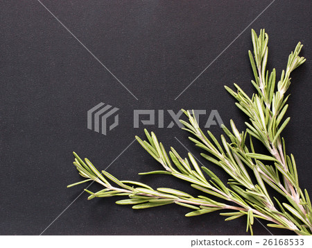 Rosemary on black Rosemary on black 26168533