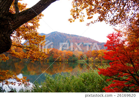 Maruike（志賀高原） 26169620