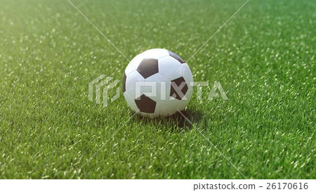 soccer ball in the grass field. 3d rendering soccer ball in the grass field. 3d rendering 26170616