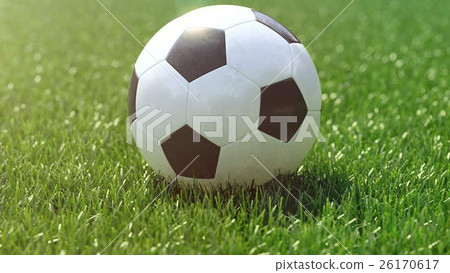 soccer ball in the grass field. 3d rendering soccer ball in the grass field. 3d rendering 26170617