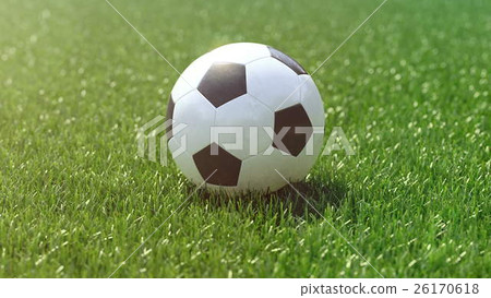 soccer ball in the grass field. 3d rendering soccer ball in the grass field. 3d rendering 26170618