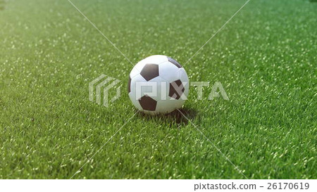 soccer ball in the grass field. 3d rendering soccer ball in the grass field. 3d rendering 26170619