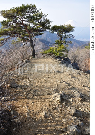 Matsu and Fuji 26171052