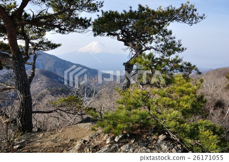 Matsu and Fuji 26171055
