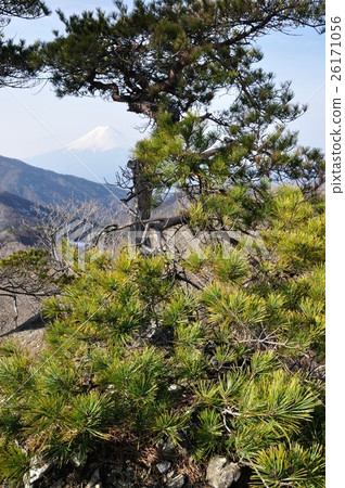 Matsu and Fuji 26171056