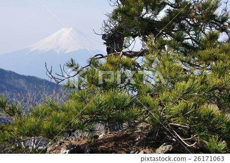 Matsu and Fuji 26171063