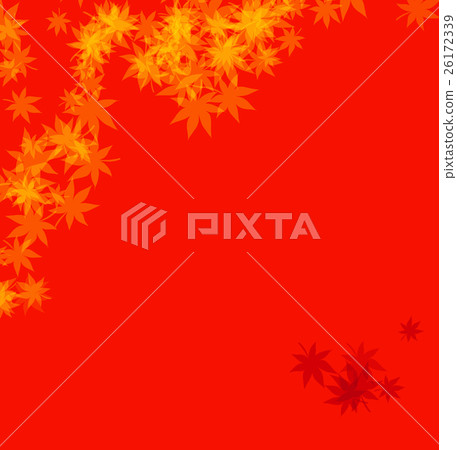 楓葉背景 26172339