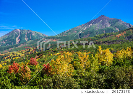 The Tokachi ridge Biei Fuji and Biei-dake seen from the autumn leaves The Tokachi ridge Biei Fuji and Biei-dake seen from the autumn leaves 26173178
