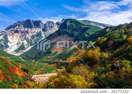 秋葉的看法從Tokachidake溫泉十勝嶺山的在Horokameku山 秋葉的看法從Tokachidake溫泉十勝嶺山的在Horokameku山 26173182
