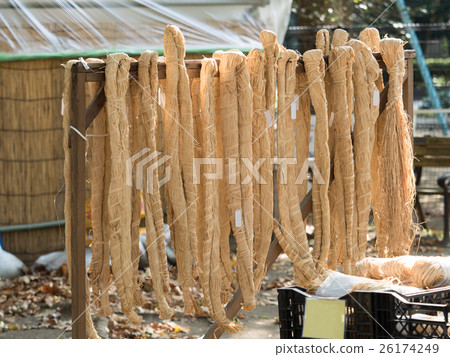 用於園藝的Rhafia梨 用於園藝的Rhafia梨 26174249