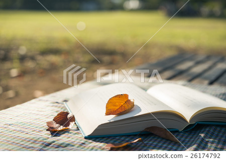 Reading image Autumn park Reading image Autumn park 26174792