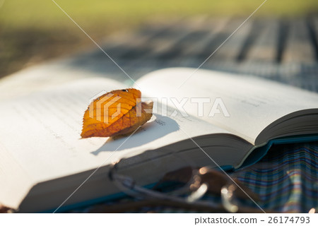 Reading image Autumn park Reading image Autumn park 26174793