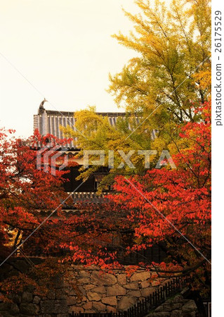 Sanada Maru Motoshiro Shinshu Ueda城堡(Sanada城堡) Sanada Maru Motoshiro Shinshu Ueda城堡(Sanada城堡) 26175529
