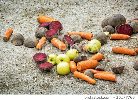 Fresh vegetable on the ground 26177766