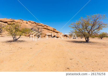 The Namib desert at Twyfelfontein 26178258