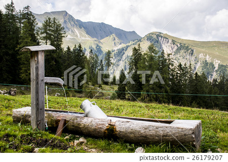Water feeding trough Austria with mountains Water feeding trough Austria with mountains 26179207