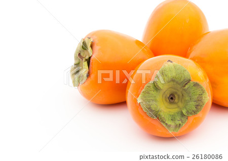 Beekea Persimmon:柿子(cv.Hachiya) Beekea Persimmon:柿子(cv.Hachiya) 26180086
