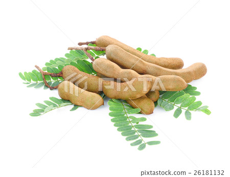 fresh tamarind with leaves isolated on white fresh tamarind with leaves isolated on white 26181132