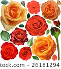 Big collection of roses and leaves  isolated  26181294