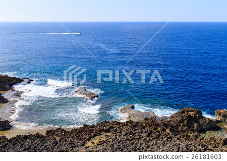 Shimokabuki燈塔 26181603