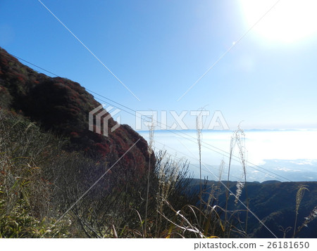Autumn leaves of Unzen Autumn leaves of Unzen 26181650
