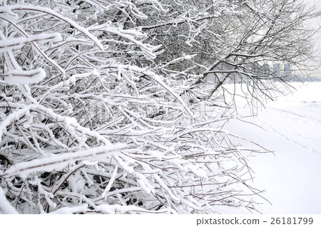 Winter landscape with snow covered trees. Winter landscape with snow covered trees. 26181799