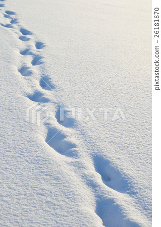 Footprints in the snow. 26181870