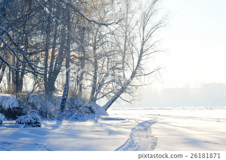 Winter landscape with trees. Winter landscape with trees. 26181871