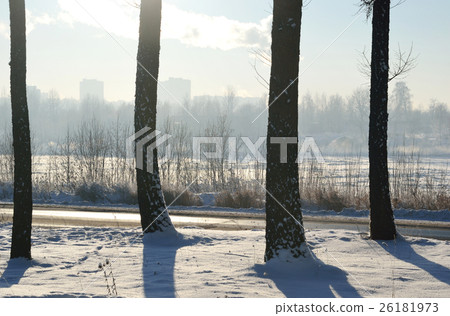 Winter landscape with trees. Winter landscape with trees. 26181973