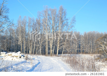 Winter landscape with trees. 26181981